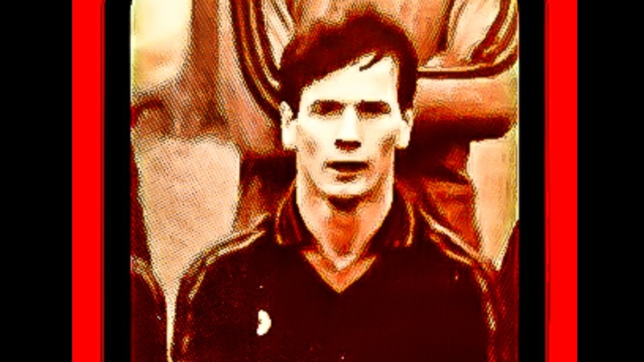 Page Banner