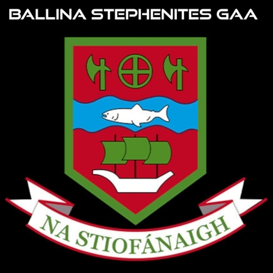 Page Logo