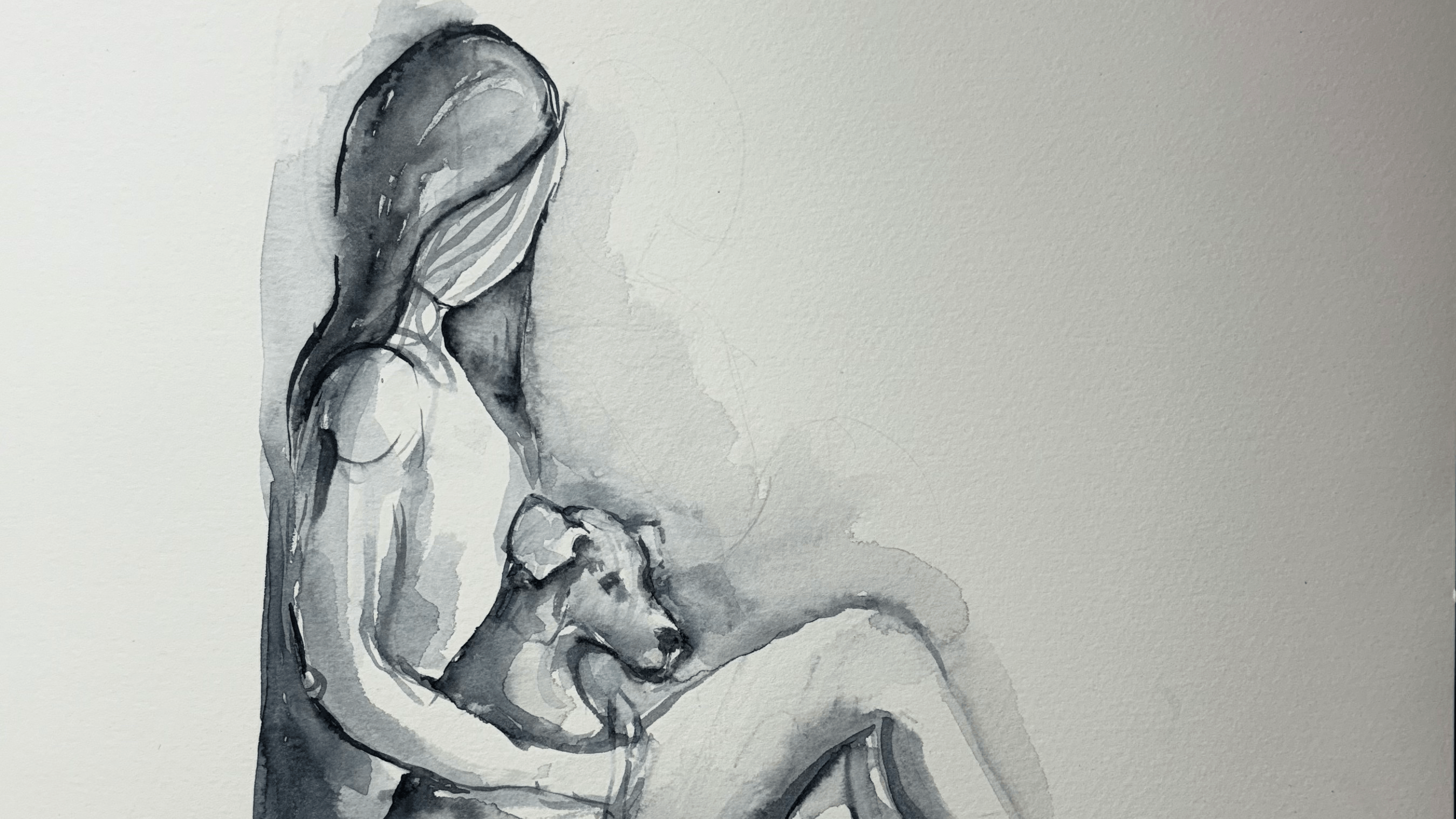 Page Banner
