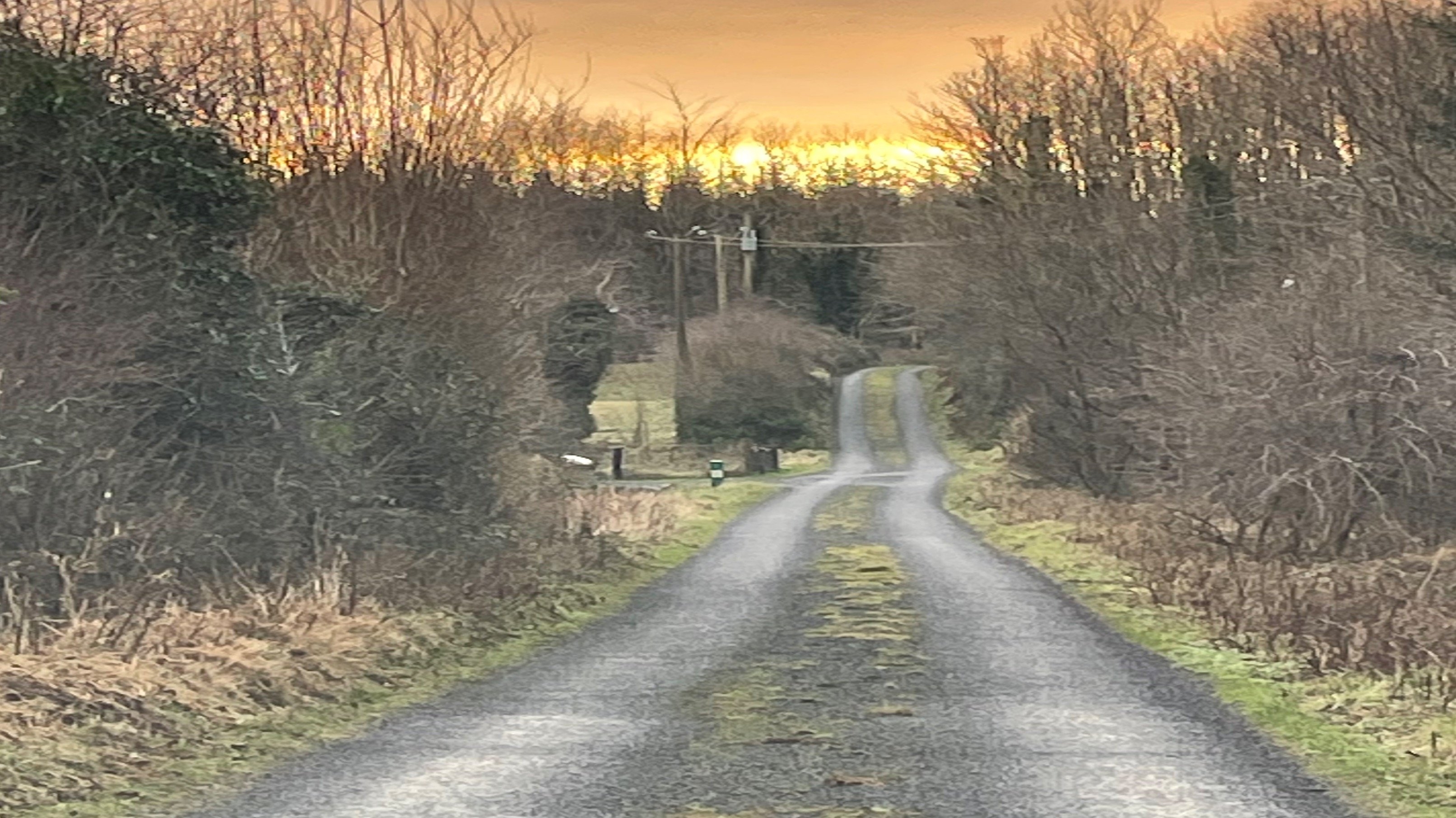 Page Banner