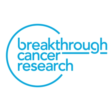 Page Logo