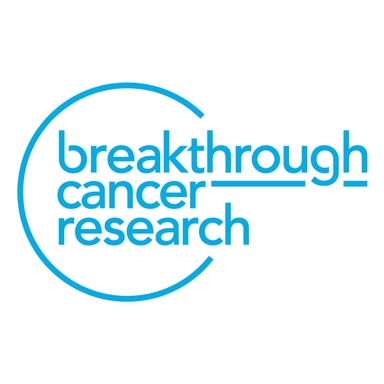 Page Logo