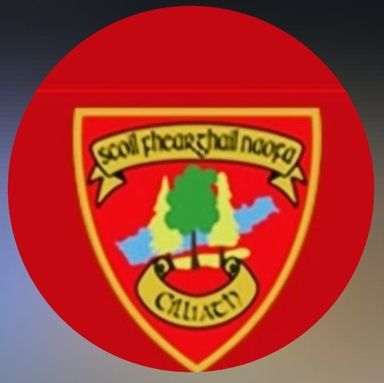 Page Logo