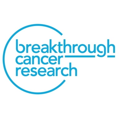 Page Logo