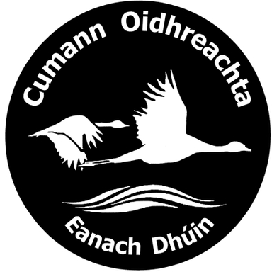 Page Logo