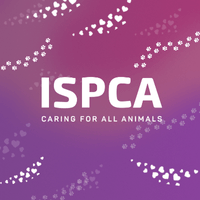 Page Logo