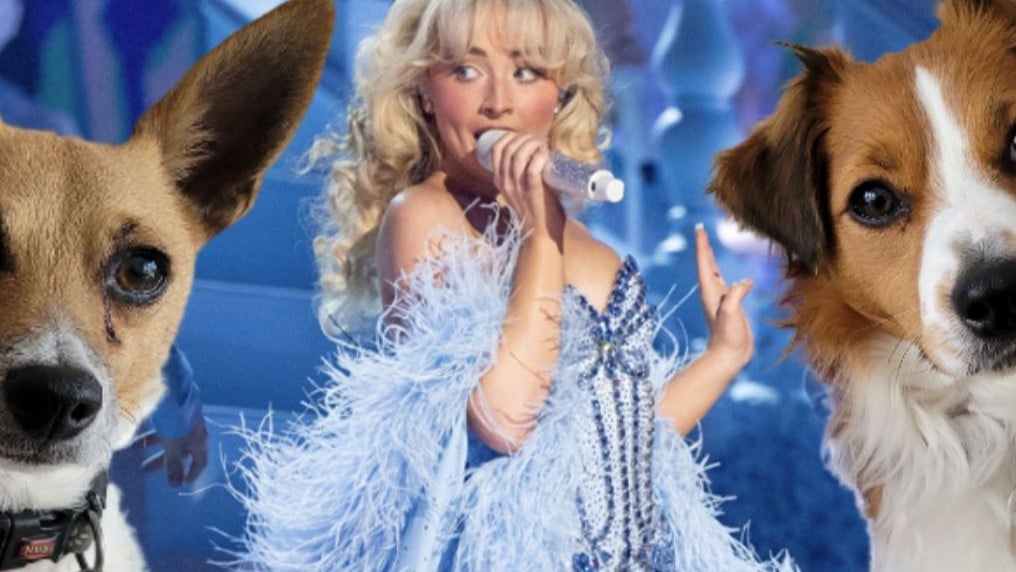 Page Banner