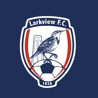Page Logo