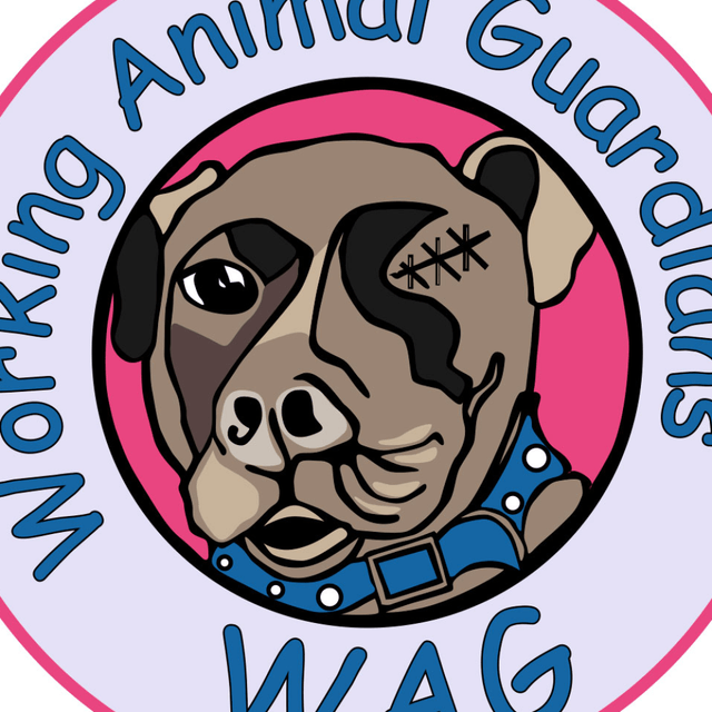 Page Logo