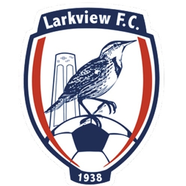 Page Logo