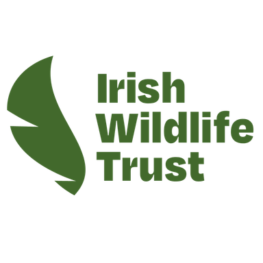 Page Logo