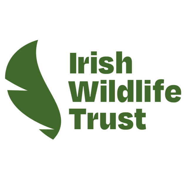 Page Logo