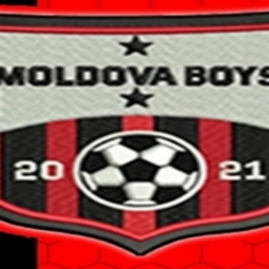 Page Logo