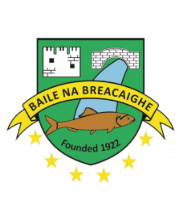 Page Logo