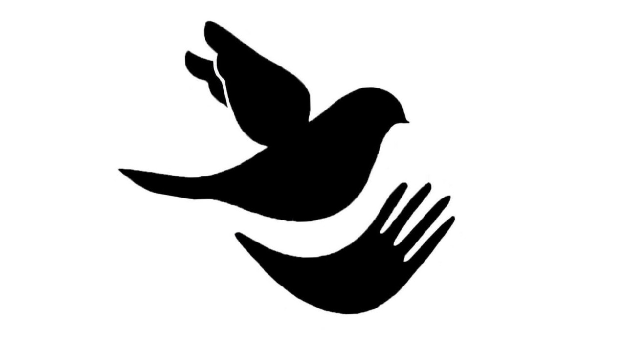 Page Banner