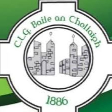 Page Logo