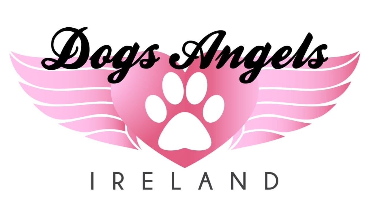 Page Banner