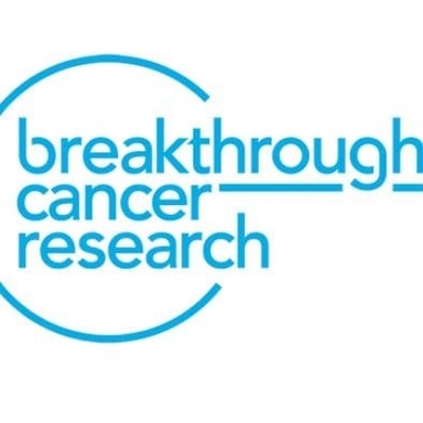 Page Logo