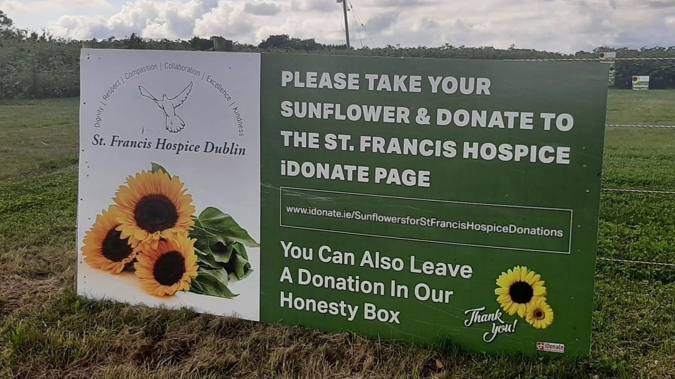 Page Banner