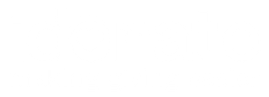 Page Logo