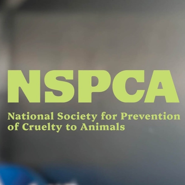 Page Logo