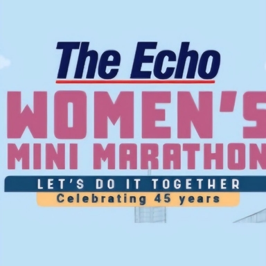 Page Logo