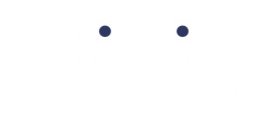 Page Logo