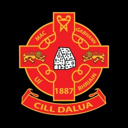 Smith O'Brien GAA & Camogie Club logo
