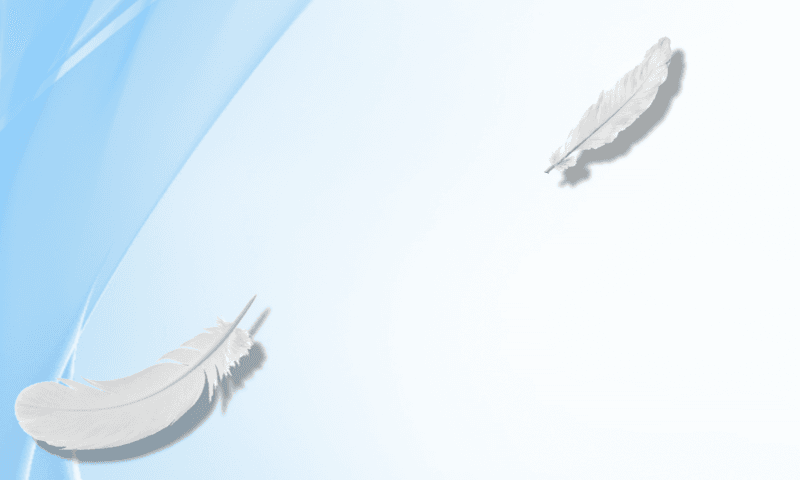 Page Banner