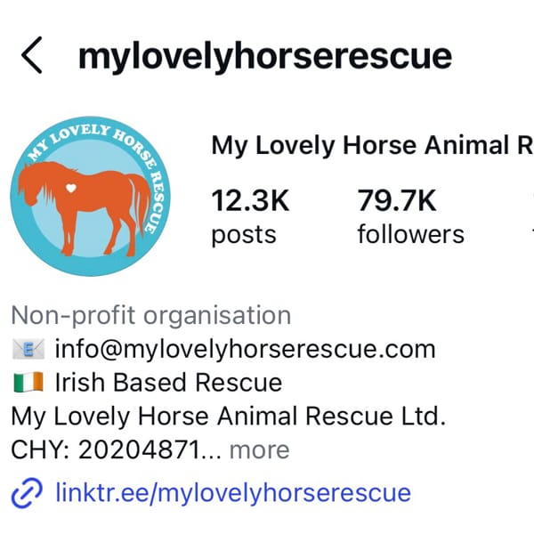 Page Banner