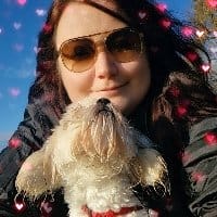 Page Banner