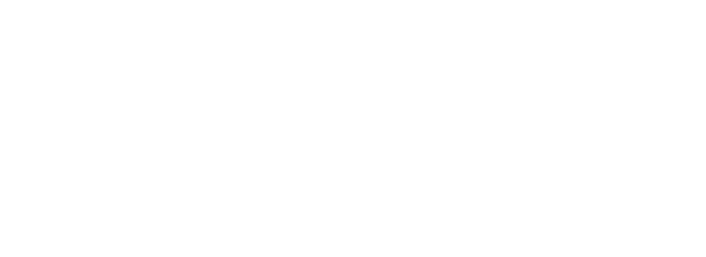 Holly HQ fundraising white label microsite with custom branding