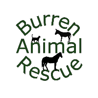 Burren Rescue