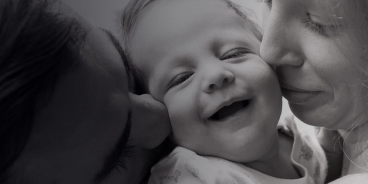 banner-image