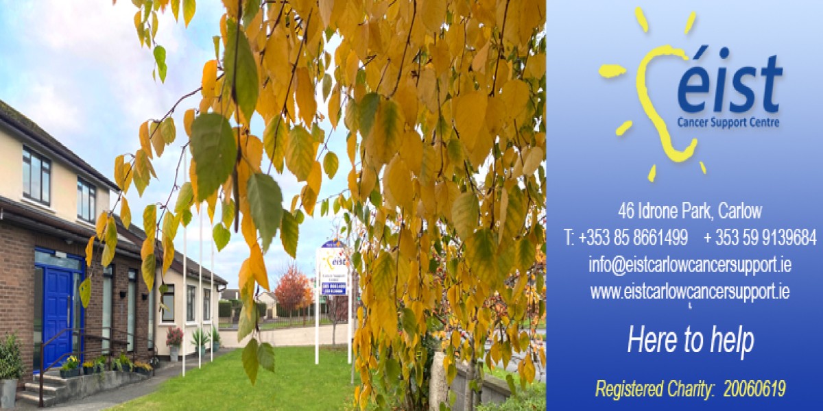 banner-image