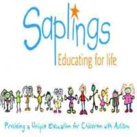 Saplings Special School, Goresbridge