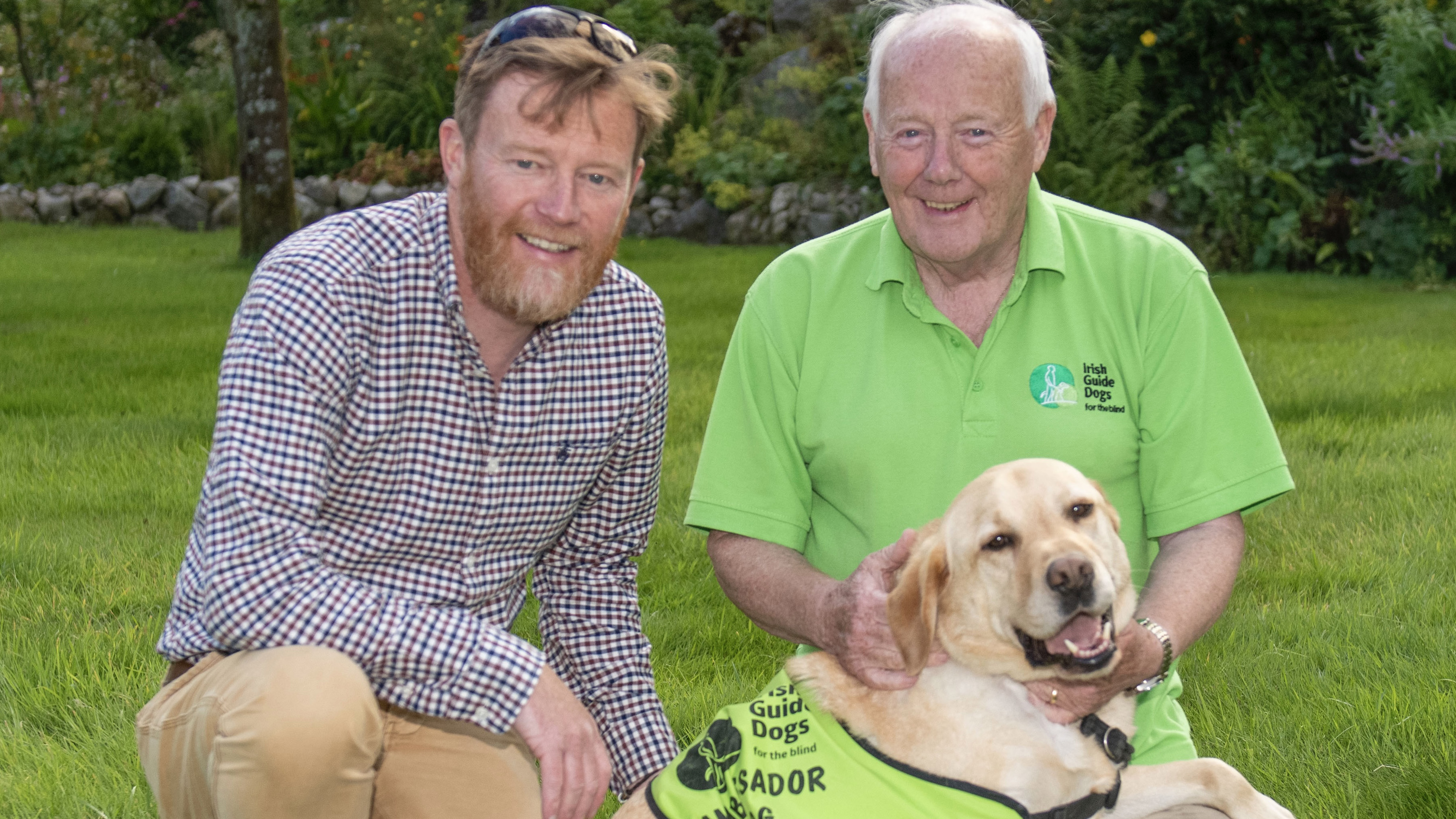 Irish guide dogs sales for the blind