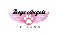 Dogs Angels Ireland