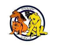 Sharpeshill - Wicklow SPCA